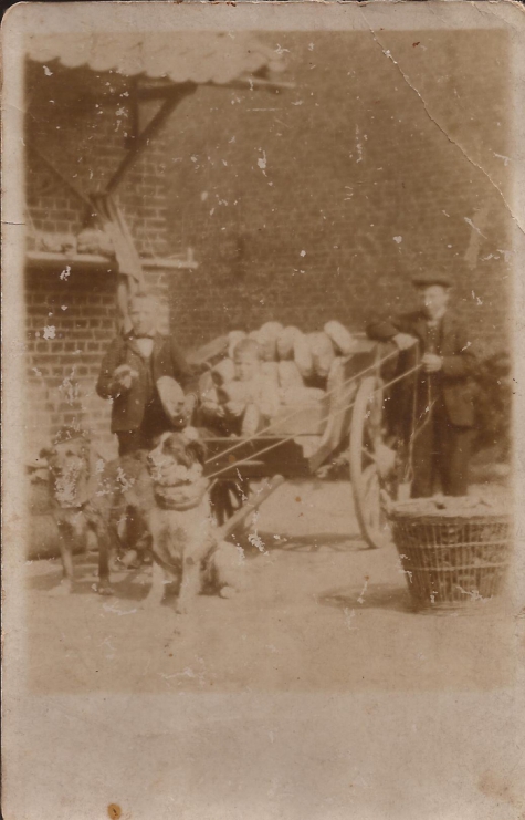 Broodbedeling met hondenkar, Sint-Lievens-Houtem