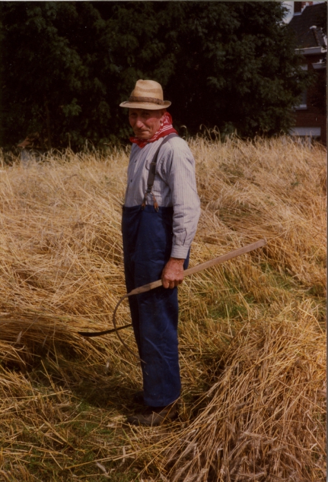 Bliki Césaer met pik en pikhaak, pikfeesten, 1979