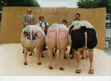 Keuring koeienrassen, Zomerjaarmarkt, Sint-Lievens-Houtem, 2001
