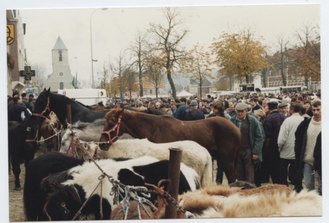 Paarden en pony&#039;s op Houtem Jaarmarkt, Sint-Lievens-Houtem, 1995