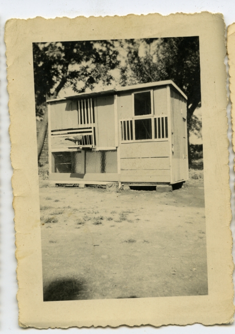 Duiventil, Bambrugge, 1955-1960