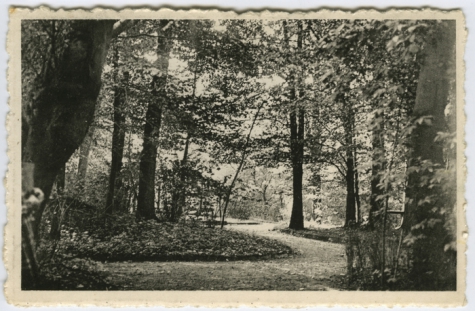 Melle, Marie Louise, Lindenhoek