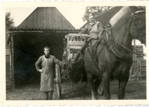 Transport per paard en kar, Balegem, 1952