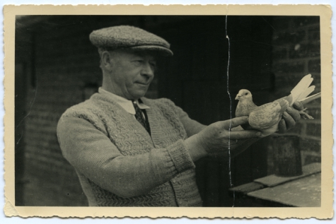 Dooreman Jozef en duif, Sint-Lievens-Houtem, 1951
