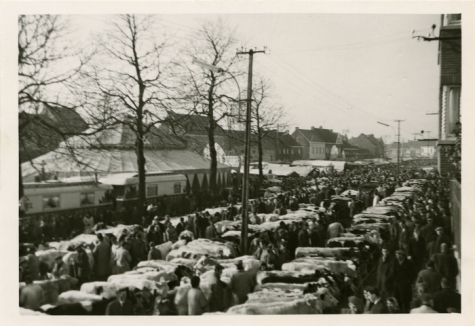 Houtem Jaarmarkt met circustent, Sint-Lievens-Houtem, 1940-1962