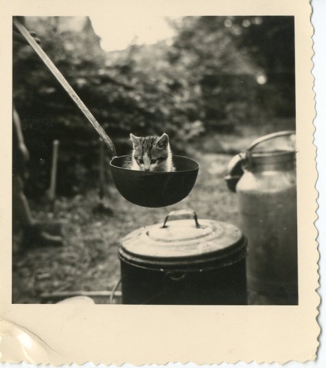 Kitten op chirokamp, Neerpelt, 1954