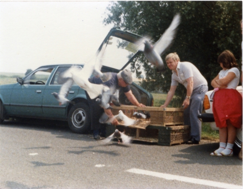 &#039;Vriendenkring Duivenliefhebbers Landskouter&#039;, duivenvlucht, Oosterzele, 1984