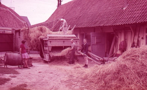 Op de boerderij, Moortsele, jaren &#039;60