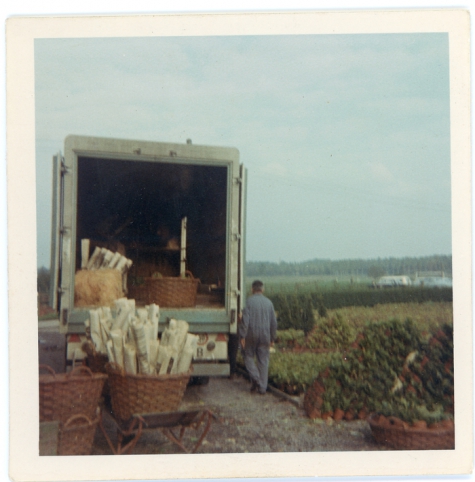 Export van planten, Melle, 1972