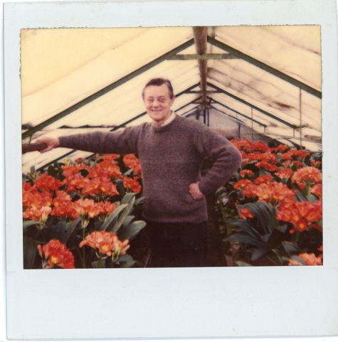 André Pieters tussen de clivia's, Melle, 1975-1979