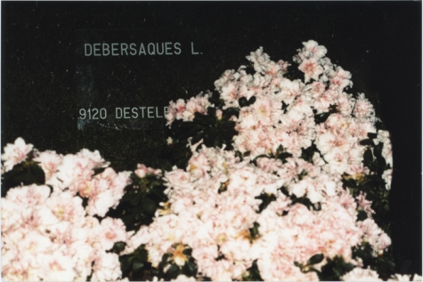 Bloemisterij Debersaques op Gentse Floraliën, Destelbergen, 1990