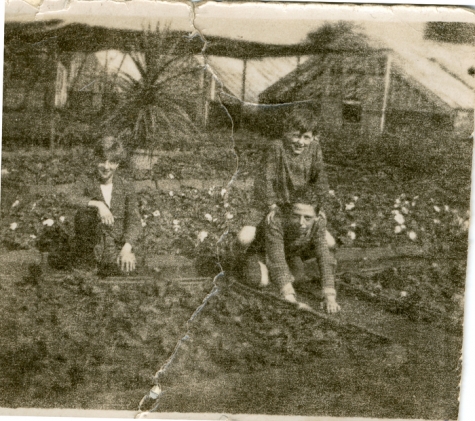 Kinderen tussen de bloemenperken, Zaffelare, 1930-1947