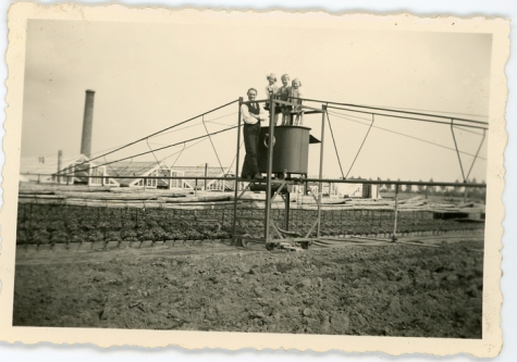 Gietmolen op de bloemisterij, Lochristi, jaren 1960