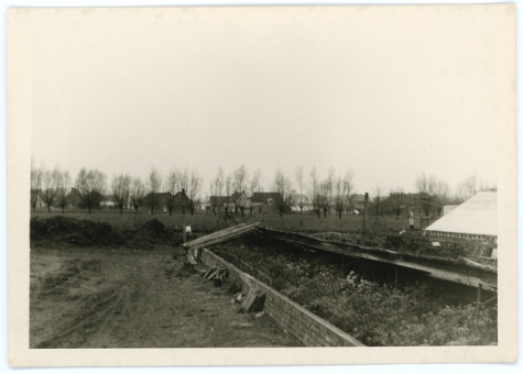 Oude kweekserre, Lochristi, 1967