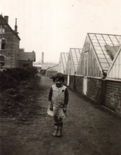 Marie-Thérèse Volckaert op de bloemisterij, Merelbeke, 1934