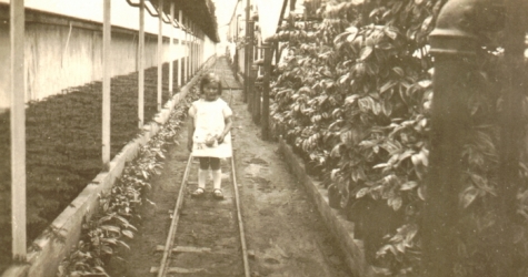 Marie-Thérèse Volckaert tussen de planten, Merelbeke, 1931