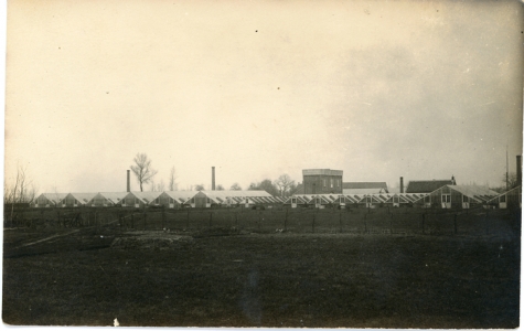 Zicht op bloemisterij Adriaenssens, Lochristi, 1900-1930