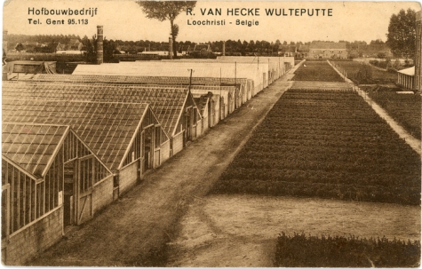Postkaart bloemisterij Van Hecke - Wulteputte, Lochristi, 1940-1950