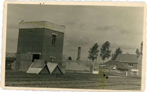 Bloemisterij Floré, Lochristi, 1945-1950
