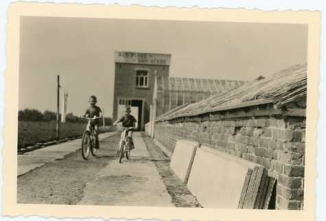 Fietsen aan de serre, Lochristi, 1963
