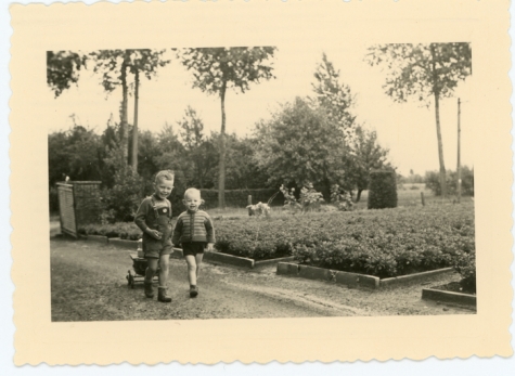 Alex en Etienne Floré tussen de azalea&#039;s, Lochristi, jaren 1960
