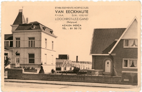 Bloemisterij Van Eeckhaute, Lochristi, jaren 1960
