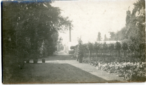 Zicht op bloemisterij Van Hecke, Zaffelare, 1910-1920
