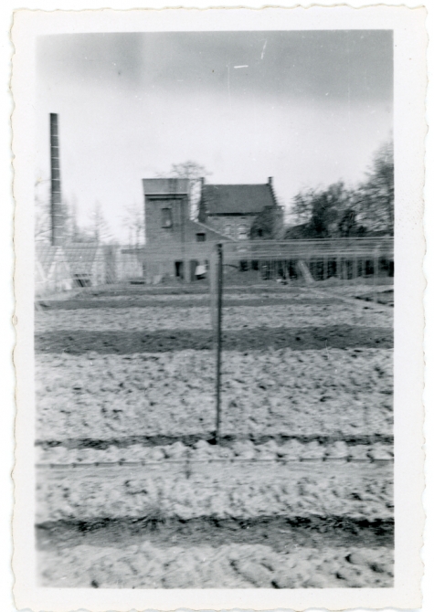 Watertoren bloemisterij Van Hecke, Zaffelare, 1910-1920
