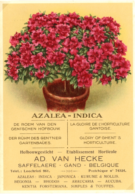 Visitekaartje bedrijf Adolf Van Hecke, Zaffelare, 1930-1940
