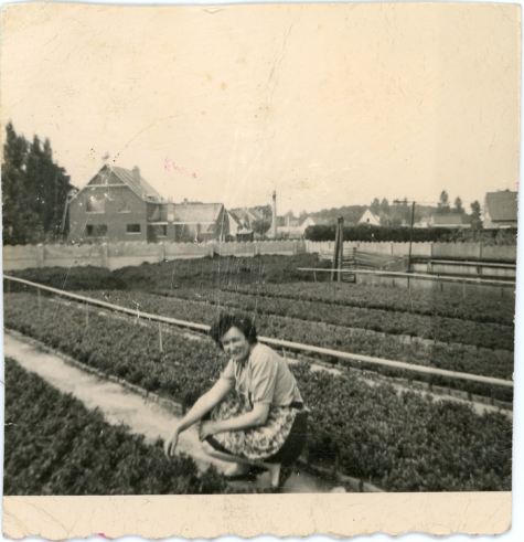 Rachel Braeckman tussen de azalea&#039;s, Heusden, jaren 1950
