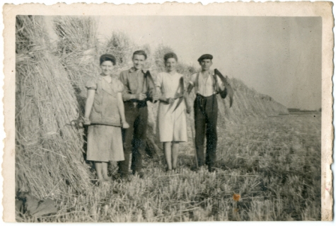 Rene De Graeve, Suzanne Van Wijnsberge, Albert De Graeve, Germaine Steurbaut, Oogst
