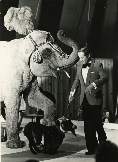 Circusact van Harry Malter met olifant Chamba en bok Mecky