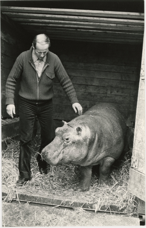 Harry Malter met nijlpaard Max