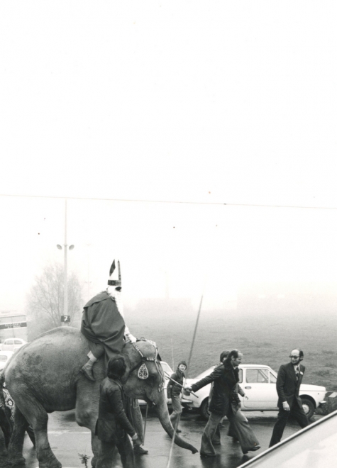 Sinterklaas op een olifant