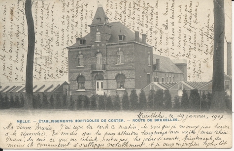 MELLE. - ÉTABLISSEMENTS HORTICOLES DE COSTER. - ROUTE DE BRUXELLES.