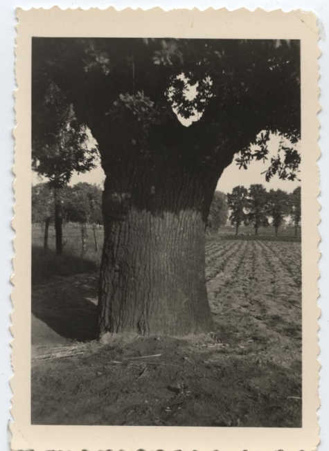 Tronk Jan De Lichte, Melle, 1958