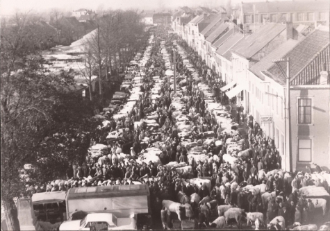 Jaarmarkt van bovenaf gezien, Sint-Lievens-Houtem, 1967