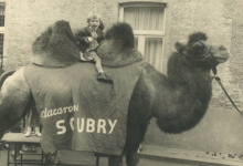 Schepen Christine De Pus als 7-jarige op de kameel van Soubry in de gemeenteschool van Oudegem, 1966