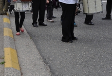 Optocht Groenbuikreus, Oosterzele, 2012