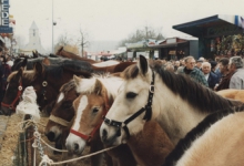 Houtem Jaarmarkt, Sint-Lievens-Houtem, 1995