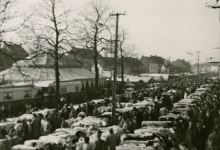 Houtem Jaarmarkt met circustent, Sint-Lievens-Houtem, 1940-1962