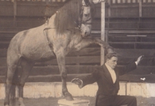 Marino Demeyer in Circus Demeyer tijdens Houtem Jaarmarkt, Sint-Lievens-Houtem, 1922-1928
