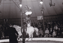 Circus Jhony op Houtem Jaarmarkt, ca. 1960