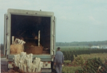 Export van planten, Melle, 1972