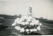André Pieters met hortensia&#039;s, Melle, 1942-1945