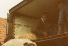 Transport van clivia&#039;s, Melle, 1985