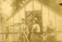 Begindagen van bloemisterij Piens, Destelbergen, 1903-1914