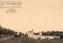 Achterkant bloemisterij Van Eeckhaute, Lochristi, jaren 1960
