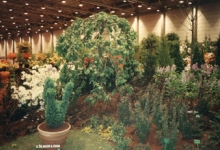 Stand van boomkwekerij De Moor op Gentse Floraliën, jaren 1970
