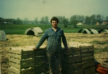 Antoine Van De Keere aan geoogst witloof, Sint-Lievens-Houtem, jaren 1970 Antoine Van De Keere aan geoogst witloof, Sint-Lievens-Houtem, jaren 1970